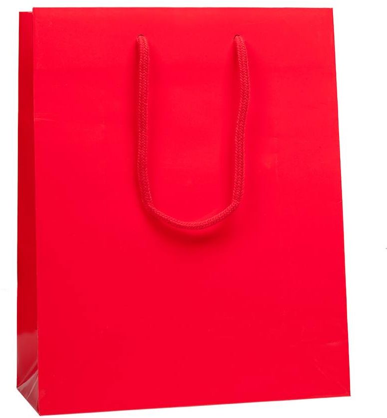 Lesklá taška 25x11x31 cm