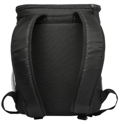 Arctic Zone 18-can cooler backpack