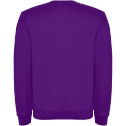 Clasica unisex svetr s výstřihem crewneck
