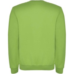 Clasica unisex svetr s výstřihem crewneck