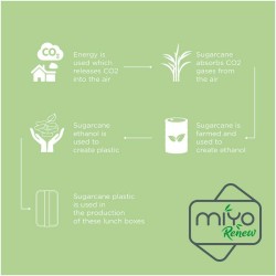 MIYO Renew jednopatrový jídelní box