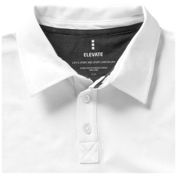 Markham polo