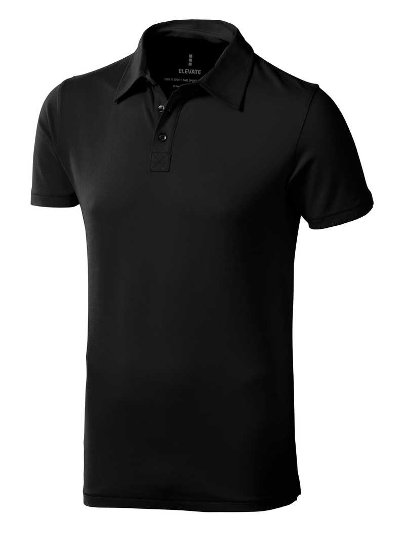 Markham polo