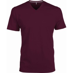 Pánské tričko kr.rukáv V-neck