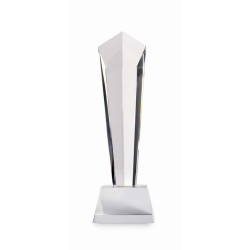 Diaward Křišťálová cena v krabičce