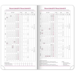 Kapesní diář Ajax