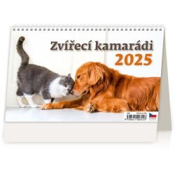 Kamarádi/Kamaráti
