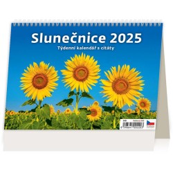 Slunečnice