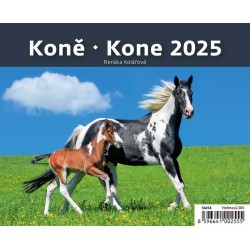 MiniMax Koně/Kone