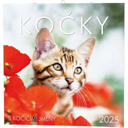 Nástěnný kalendář - Poznámkový - Kočky