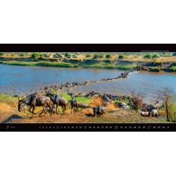 Panoramaphoto