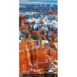 Verticalphoto
