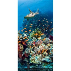 Verticalphoto