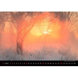 Landscapes