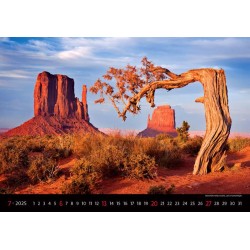 Landscapes