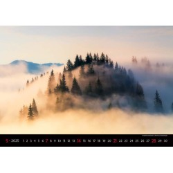 Landscapes