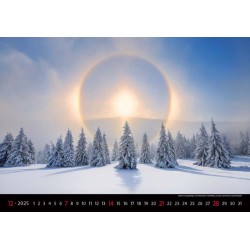 Landscapes