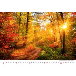 Via