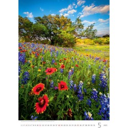 Nature Emotions