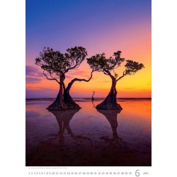 Nature Emotions