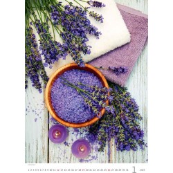 Provence
