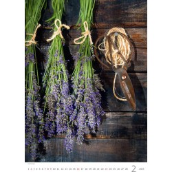 Provence
