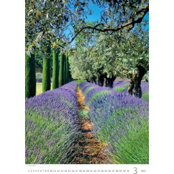 Provence