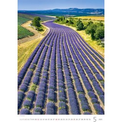 Provence