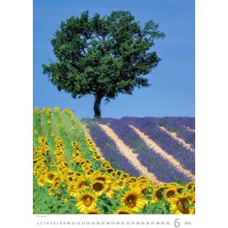 Provence