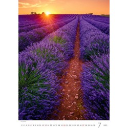 Provence