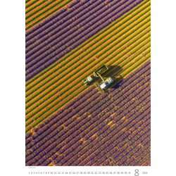 Provence