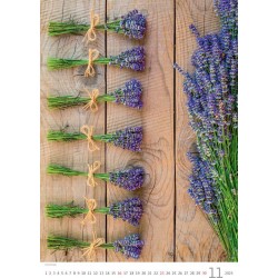 Provence