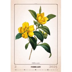 Herbarium