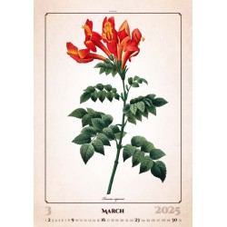 Herbarium