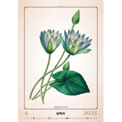 Herbarium
