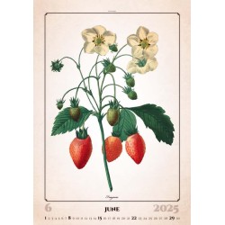 Herbarium