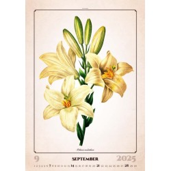 Herbarium