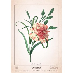 Herbarium