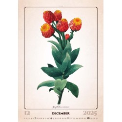 Herbarium
