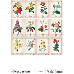 Herbarium