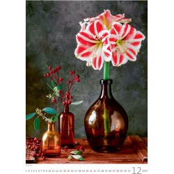 Magic Flowers