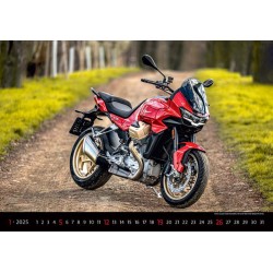Motorbikes