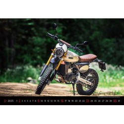 Motorbikes