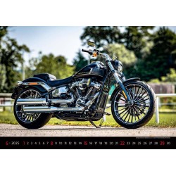 Motorbikes