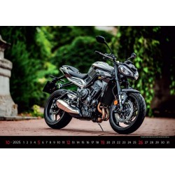 Motorbikes