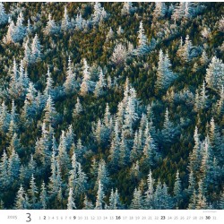 Forest/Wald/Les