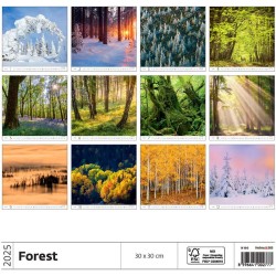 Forest/Wald/Les
