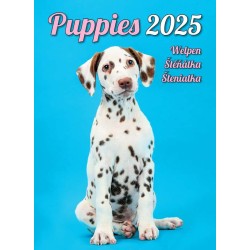 Puppies/Welpen/Štěňátka/Šteniatka