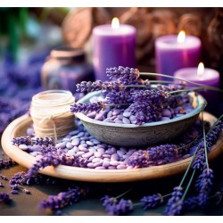 Provence