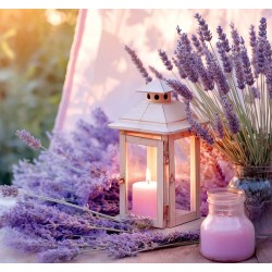 Provence